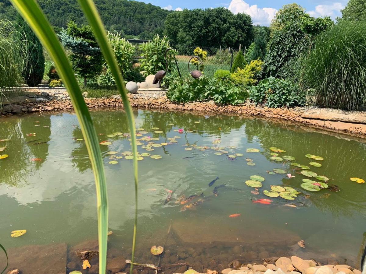 Siedlisko Przyjazne Progi Vila Rusocice Exterior foto