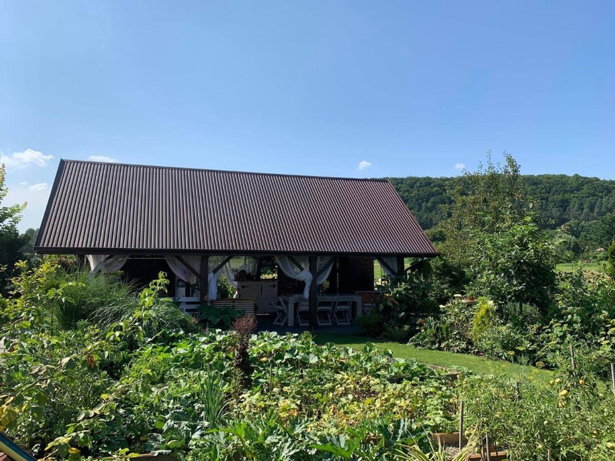 Siedlisko Przyjazne Progi Vila Rusocice Exterior foto